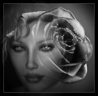 VISAGE