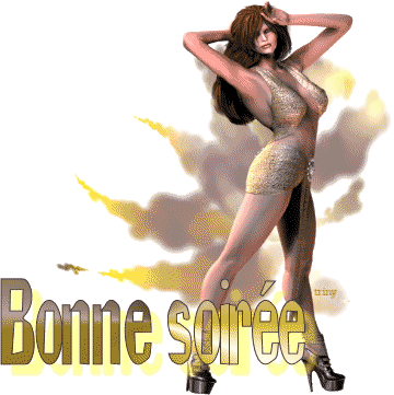 BONNE SOIREE