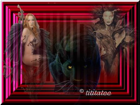 FELINES