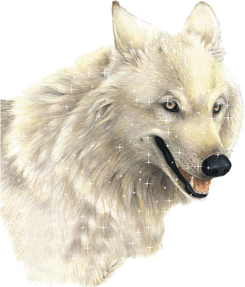 LOUP