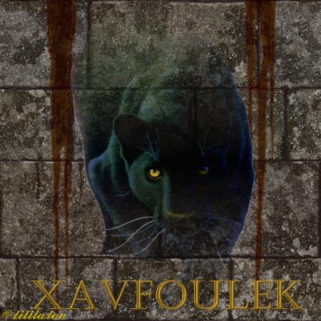 XAVFOULEK (commande)