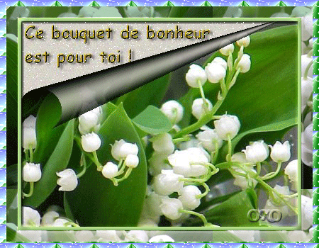 MUGUET