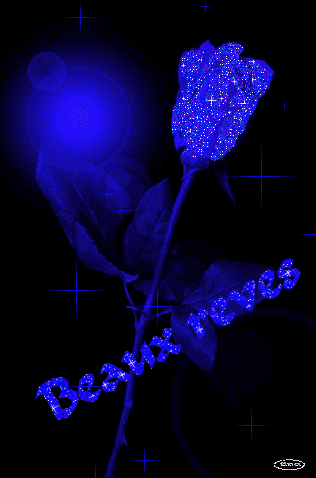 BEAUX REVES